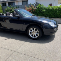 Kiwi2001MGF